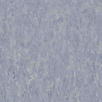 Suelo Linóleo Horizonte Suelo Linóleo Horizonte